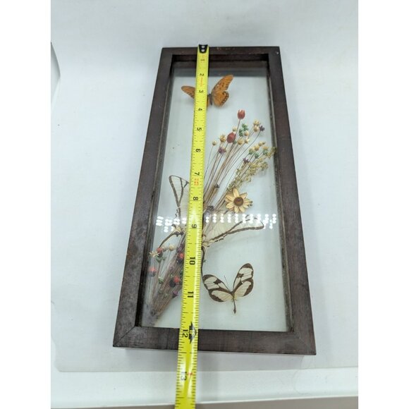 Vintage Shadow Box Butterflies Flowers display glass 12.4" x 5.4" boho READ - Picture 9 of 16